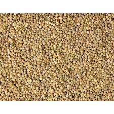 Guar Gum Seed